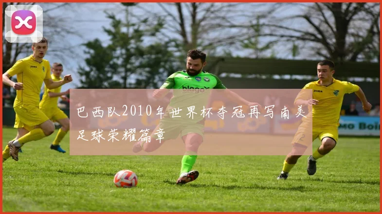 巴西队2010年世界杯夺冠再写南美足球荣耀篇章